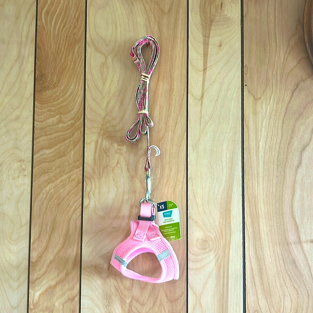 Dog Leash & Harness Still Available